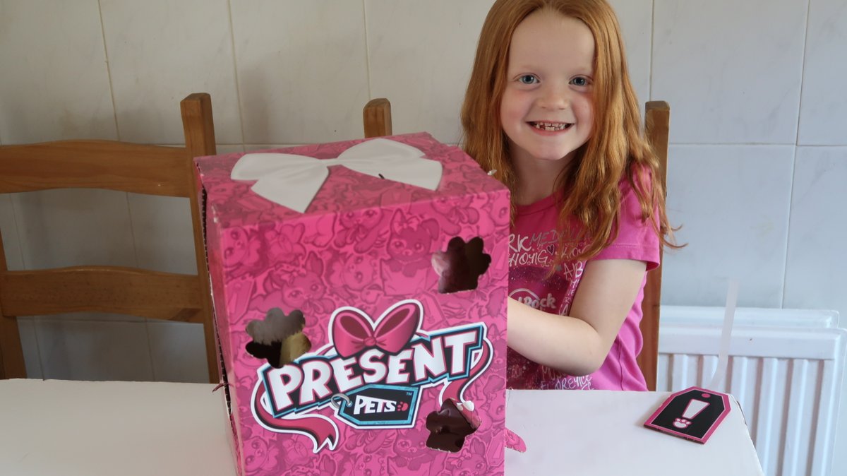 susankmann's tweet photo. Our #PresentPet is starting to unbox. With a pink box we will receive a Fancy #PresentPet. Will it be Kweenie or Princess? #Gifted @spinmasteruk https://t.co/NolDMjzFBv
