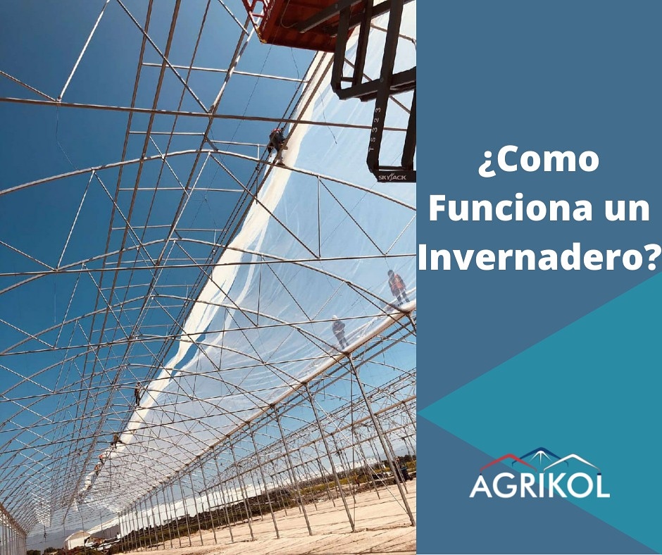 ¿Sabes como funciona un invernadero? Siguenos en Facebook y descubre como m.facebook.com/story.php?stor…