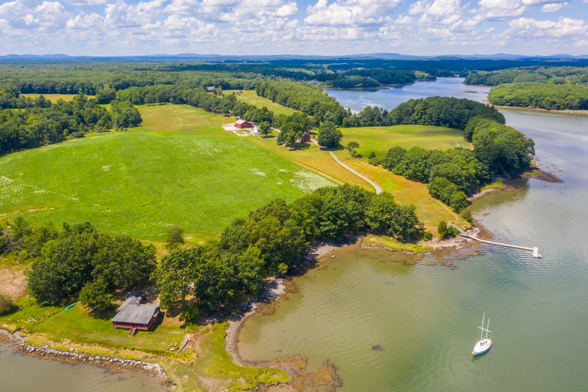 FreeStateBlockchain tweet media