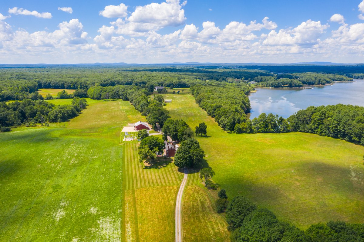 FreeStateBlockchain tweet media