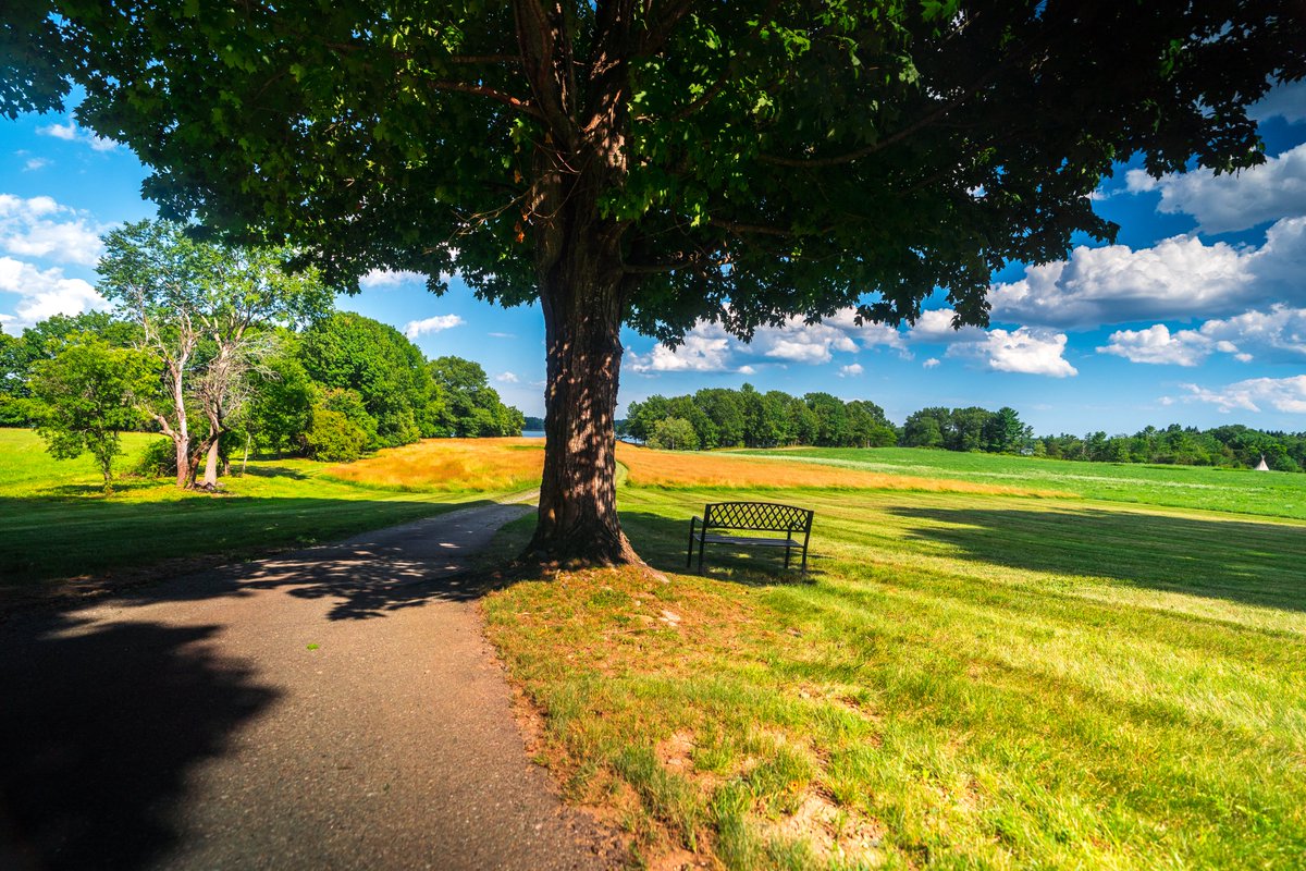 FreeStateBlockchain tweet media