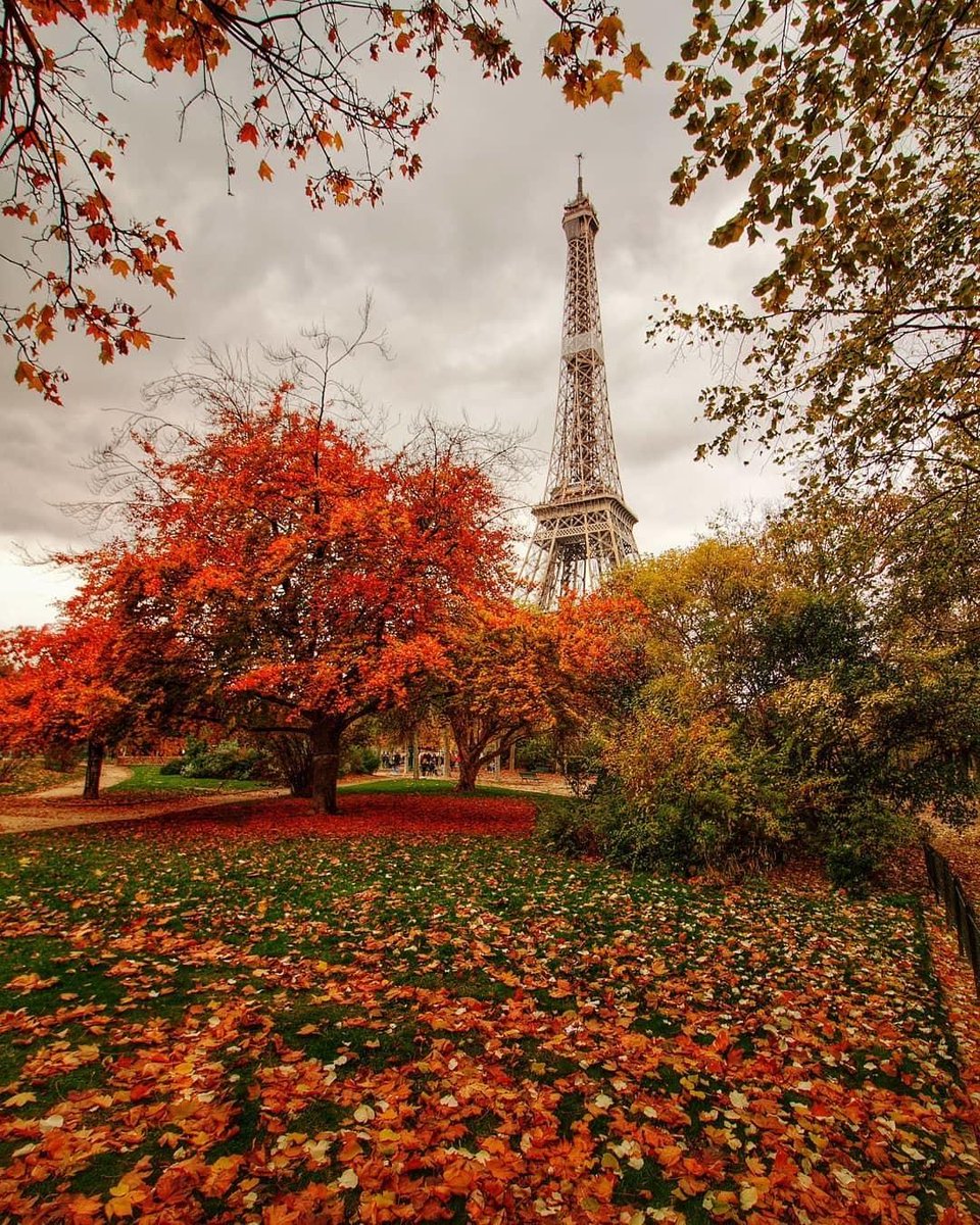 LHotel's tweet photo. Admiring the change in season and the fiery autumnal colours that come with it. 

📷 https://t.co/IbD7ZvolIu https://t.co/hKiJuounpq