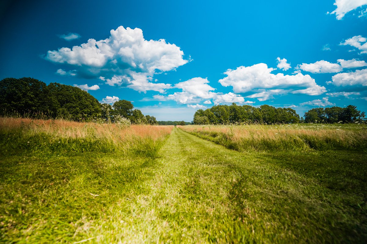 FreeStateBlockchain tweet media