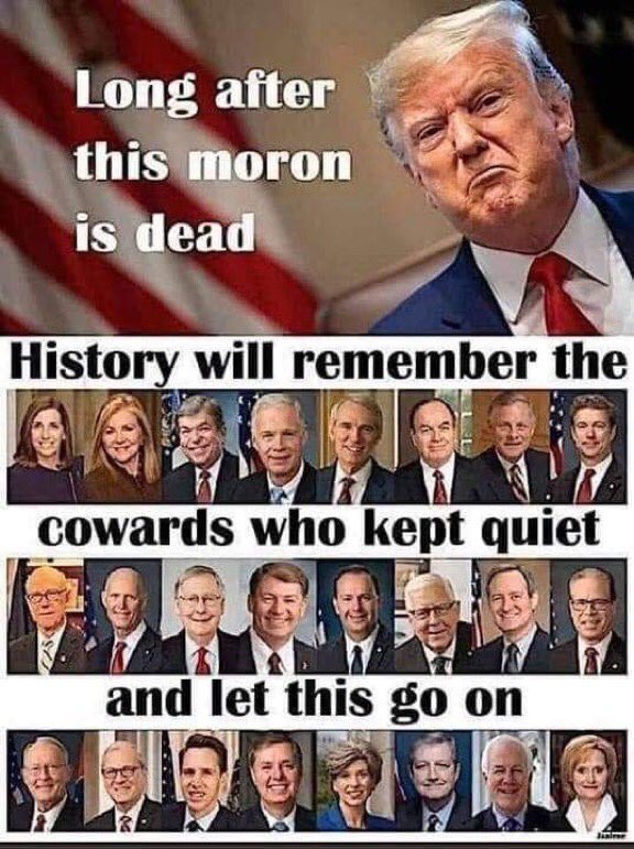 DANNI64AZ's tweet photo. @realDonaldTrump #PutinsPuppy
#TrumpIsFinanciallyCompromised
#WhoDoesTrumpOwe
#TrumpIsARacist
#VoteBlueDownBallot https://t.co/90YhDesZ73