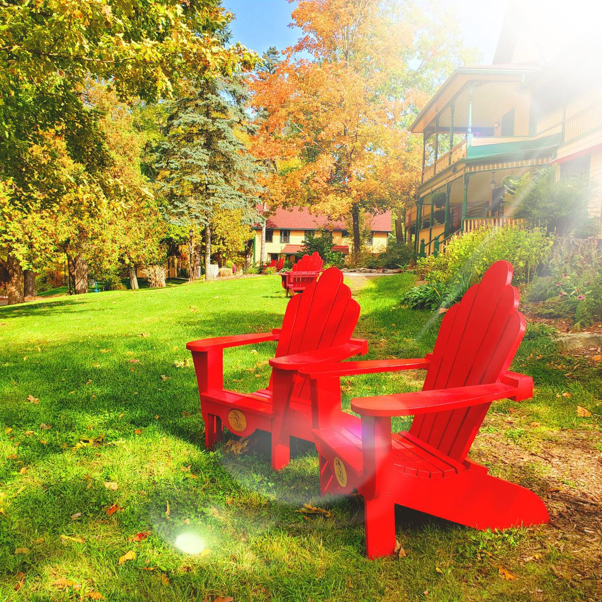 The Opinicon dining season will be winding up as of October 12th, with a planned reopening on the 2021 May Long Weekend. Thank you to all our guests during this very short season, still a few glorious weekends to enjoy! #fallcolours