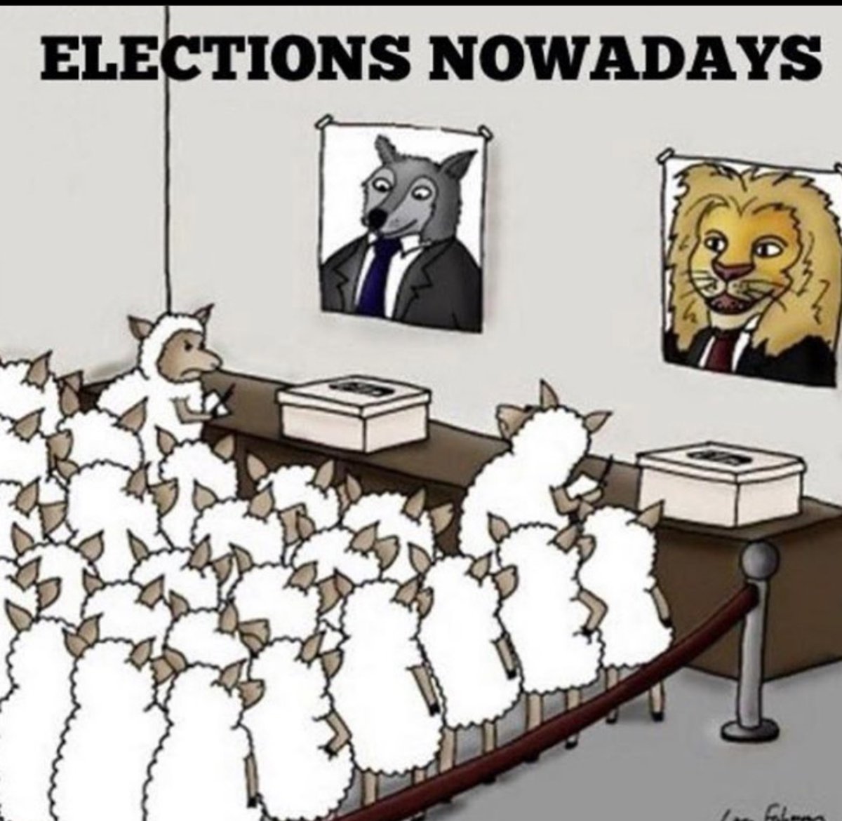 Hashtag Voteanyway Sur Twitter