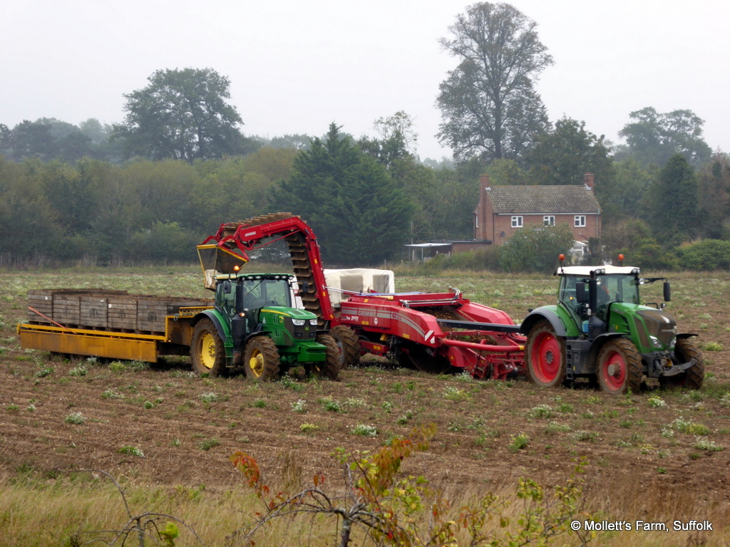 MollettsFarm's tweet image. Potato harvesting underway, prior to them going on sale at neighbouring @FridayStFarm. That barely registers on the food-miles counter. 500m doesn't really count! #ShopLocal #FarmFresh #Suffolk