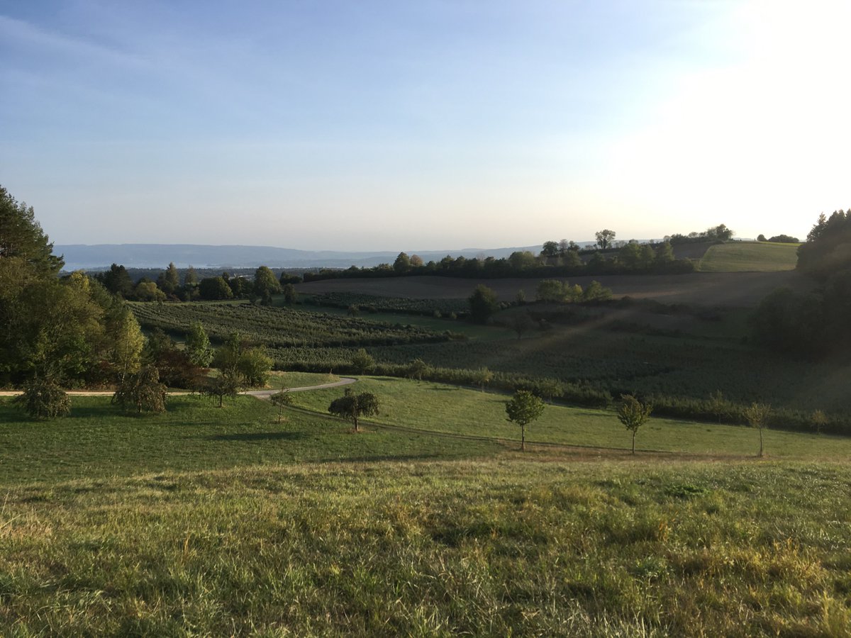 The “last” day as a Masters student... I remember the first day as a student I visited at Farine lab and took a walk with my supervisor(s) up to the hill. It was also sunny day :) The photo is from 2 years ago.