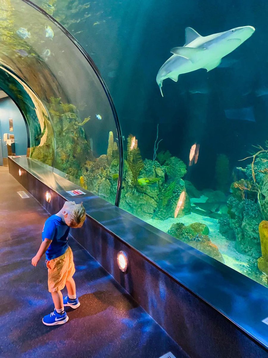 Colonel Paddlewheel Boat Galveston, TX