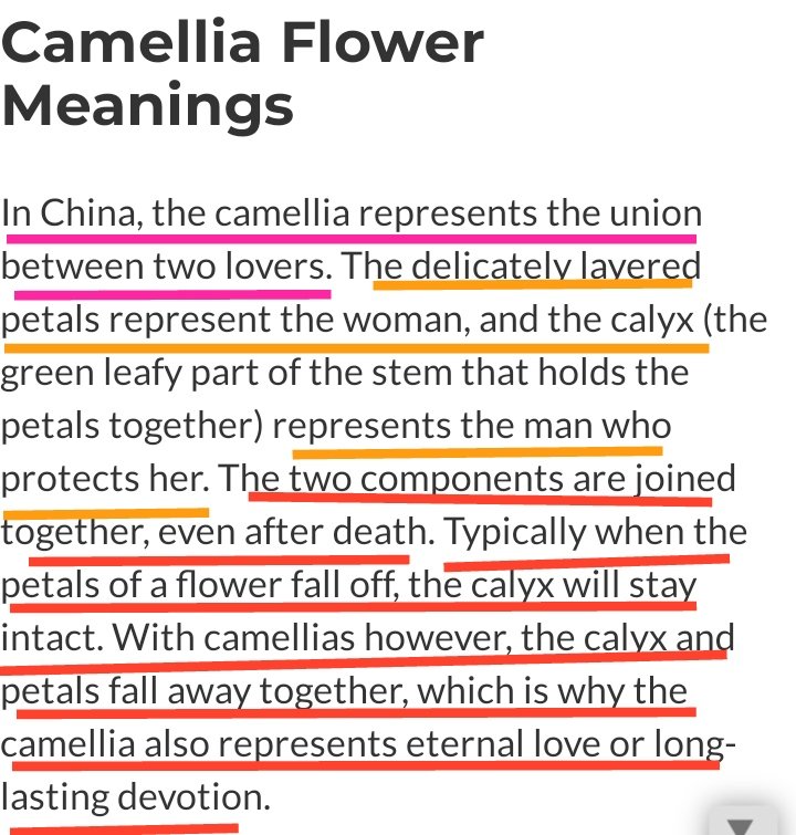 + the camellia depicts eternal love or long lasting devotion. In China, it is also believed to represent the union between two lovers, which adds more fuel to this moment.