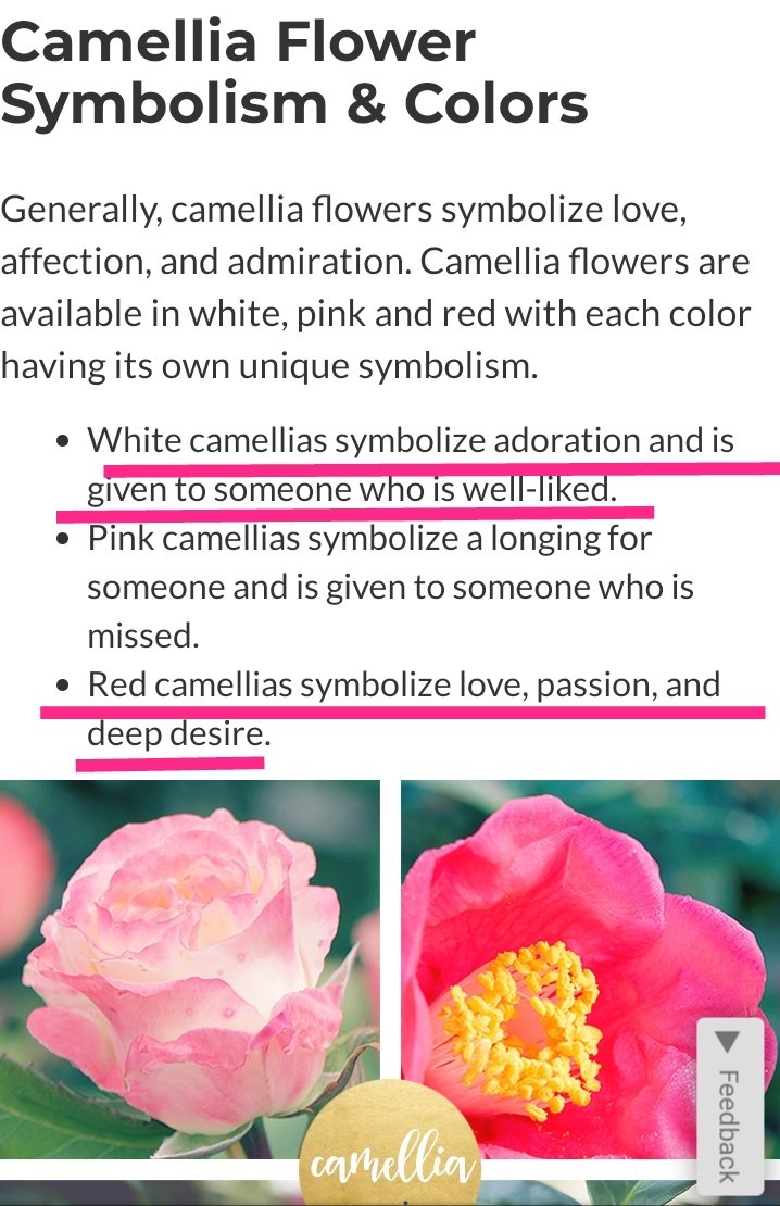 Bakugo's roses turn from white into red - Kaminari is even shown to be taking notice of it. Mineta continues Deku's explanation and informs us that in flower language red roses mean "a beautiful, passionate love".