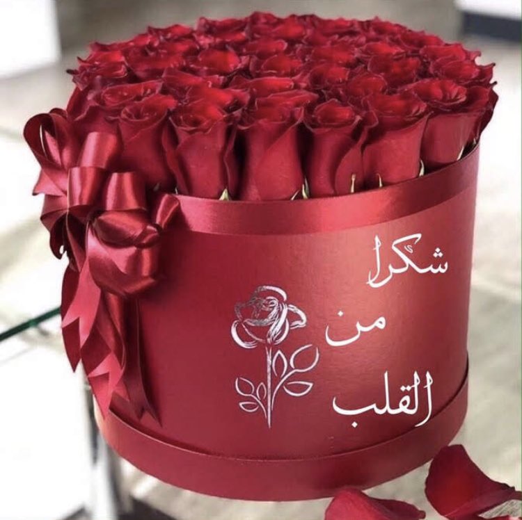 صبرا والله اتقيدت😔°•☆•°~رسائل لم تبعث~•°☆•° tweet media