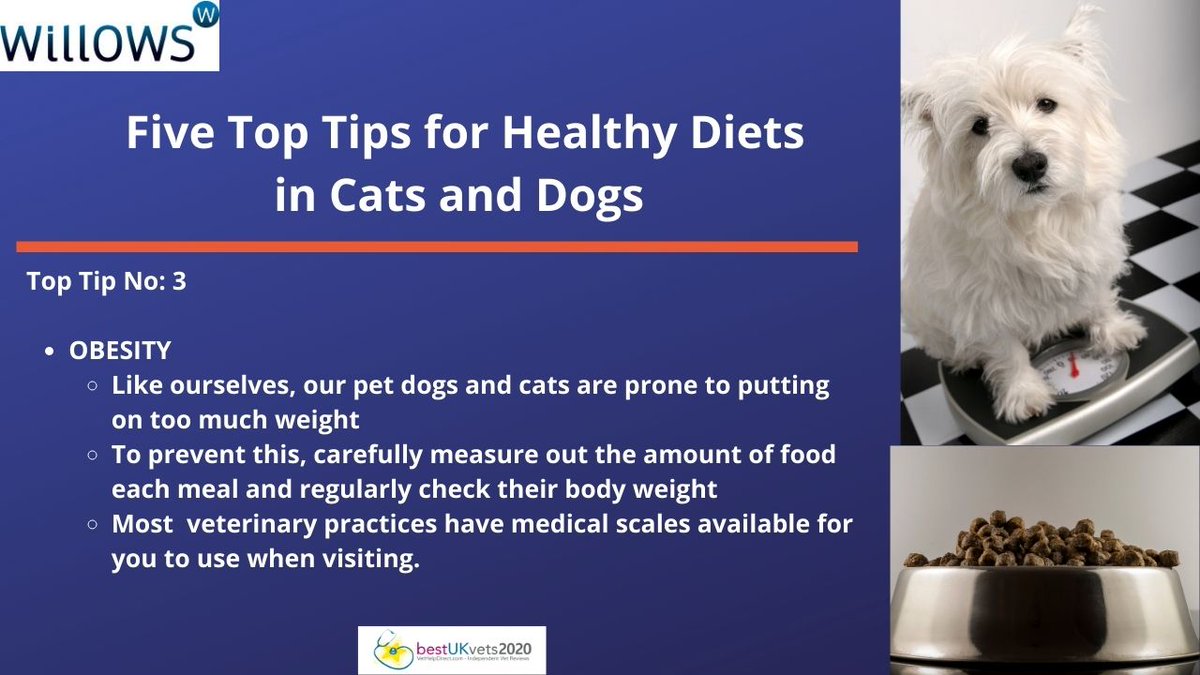 TOP TIPS FOR HEALTHY DIETS IN CATS AND DOGS: OBESITY
Obesity can be a serious health issue for our pets and can lead to life-long and life-threatening illnesses including breathing problems, diabetes and heart disease.

#HealthyEatingWeek 
#AskingForAFurryFriend
