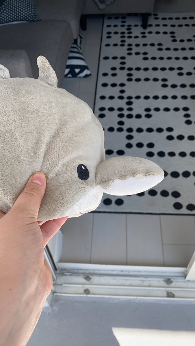 Julia__Saltzman's tweet photo. @WhySharksMatter Not a shark but this is my puppy’s favorite toy! #sawfishnearme? https://t.co/0g5w2bDCC2