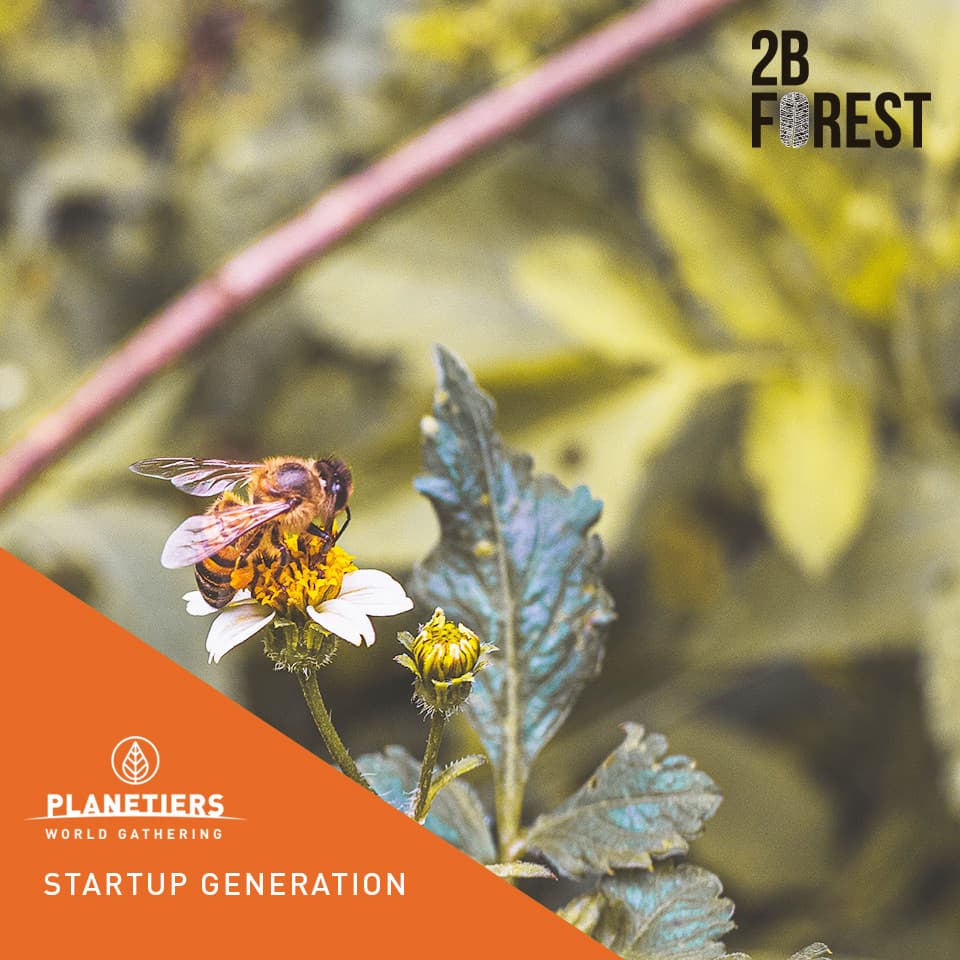 PlanetiersWG's tweet photo. Specialized in forest certification and sustainable development, @2bforest developed ForestSIM®, a digital platform that allows forest owners and managers to do “More and Better Forest” through good management practices and protecting biodiversity.
#StartupGeneration, PWG 2020. https://t.co/KZ7Ay8A2om
