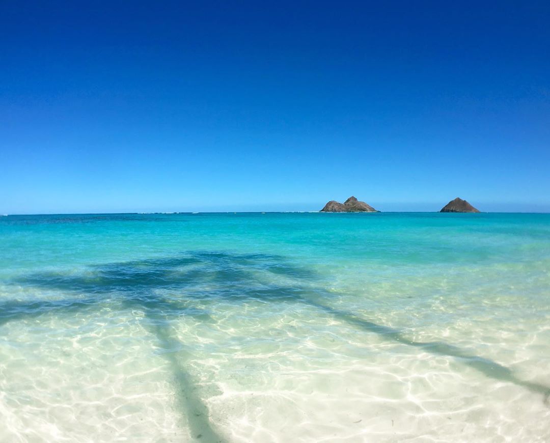 #beautifulbeach 🏝 #hawaii
.
.
.
.
.
reposting @cocomermaid808
#BeautifulPlaces #BeautifulPlanet #WorldTravelPics #LifeWellTravelled #LoveDailyDose #TravelAroundTheWorld #TravelLover #TravelIsLife #TravelAddict #TravelLife #luxurytravel #luxuryvacation #worldsgreatestvacations