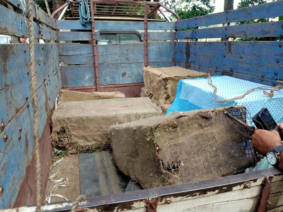 Bird smuggling racket busted in West Bengal by <a href="/deva_iitkgp/">Debashish Sharma, IFS</a> in Durgapur.