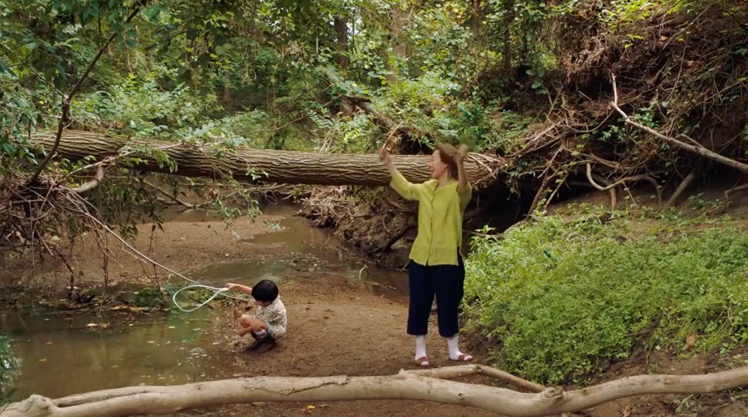 Lost In Film on Twitter: "'Minari' (2020, Lee Isaac Chung). Cinematography: Lachlan Milne.… "