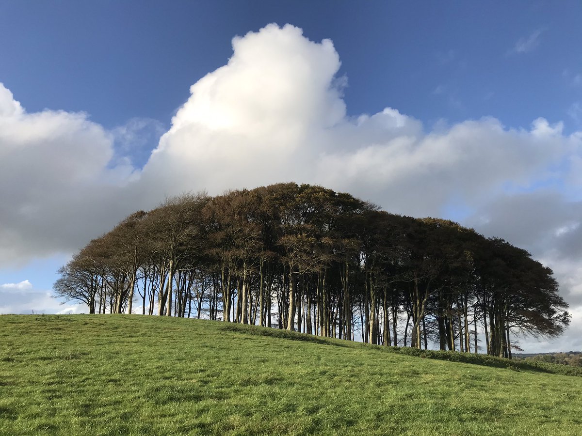kathywardleITV's tweet photo. Tonight’s live location as Lifton’s iconic ‘coming home trees’ are lit in red for #WeMakeEvents @itvwestcountry #cominghometrees #nearlyhometrees #cookworthyknapp https://t.co/VH3MzQwh9M