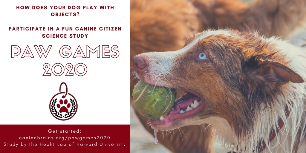 LabHecht's tweet photo. Seeking participants for a new citizen science study! If you have a dog who likes to play with toys, you're invited. Submit short videos and complete surveys for a chance to win a $25 Amazon gift card & get your pup featured on our lab's Instagram feed! https://t.co/N1LmPUsHdZ https://t.co/EIbEahXiRG