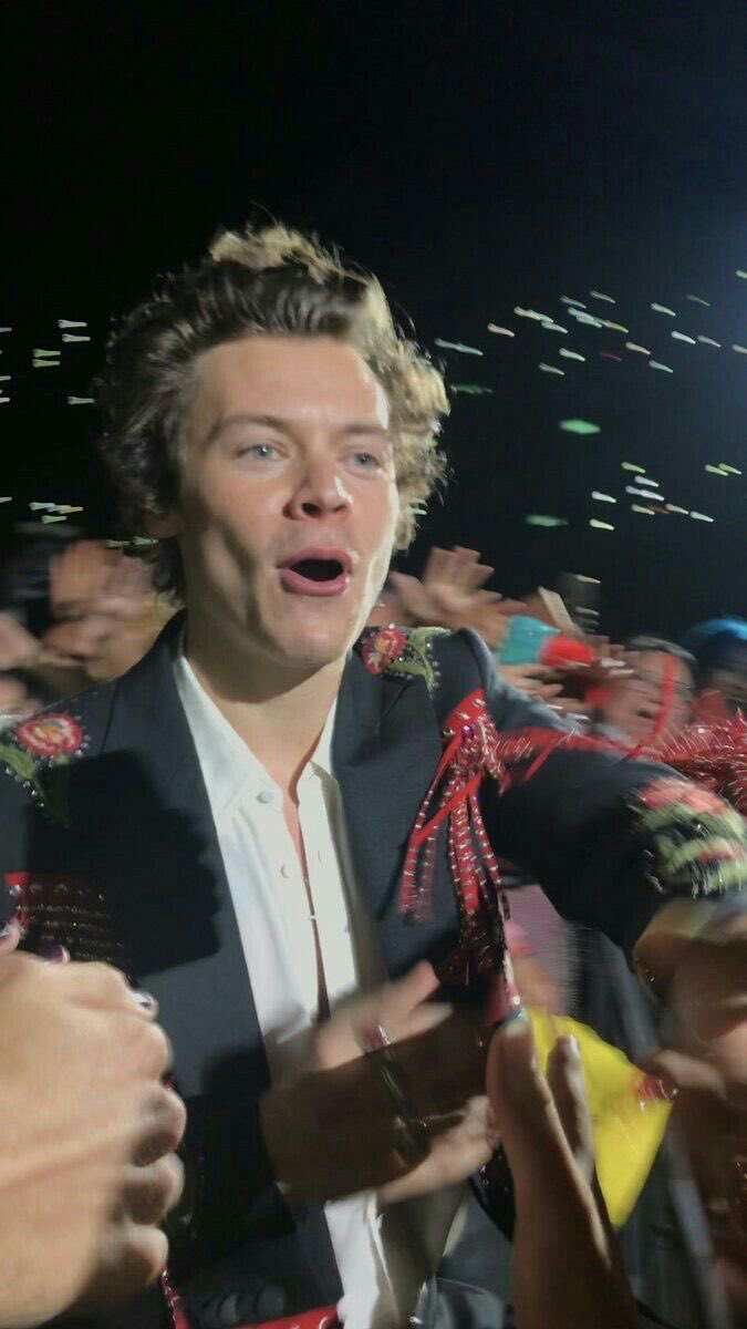 harry styles doing the barricade walk... a thread