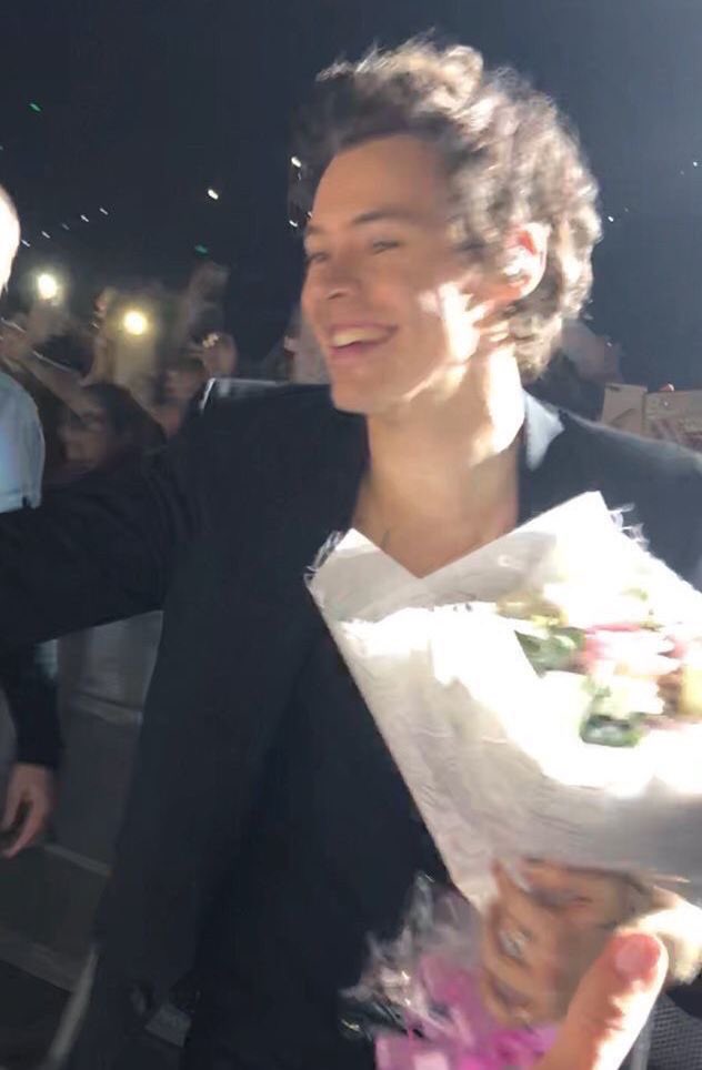 harry styles doing the barricade walk... a thread