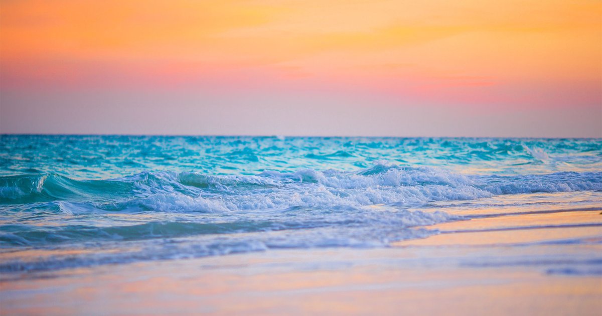 CruiseRedDeer's tweet photo. Some amazing deals to Mexico in February happening right now.
If you can self quarantine for 14 days on your return, give us a call or stop in, or dm and let us help you book your winter getaway.
#localtravelexperts #reddeer #mexico https://t.co/pfOCreEux0