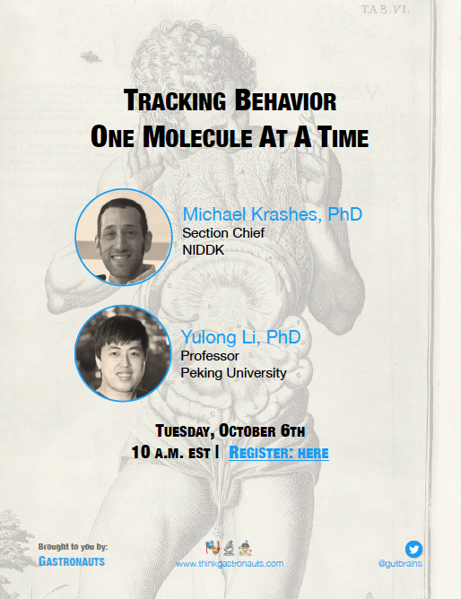 LuckmanLab's tweet image. Getting the popcorn ready for Tues 6th Oct 🍿🍿🍿

First @joedwardlewis @Peter_Aldiss @ThePhySoc  #PhysiologyM2M adipose tissue webinar at 2PM BST. Register here: buff.ly/2S8vFRw

Then @Gutbrainmatters Gastronauts at 3PM BST. Register here: bit.ly/2Gok5yI