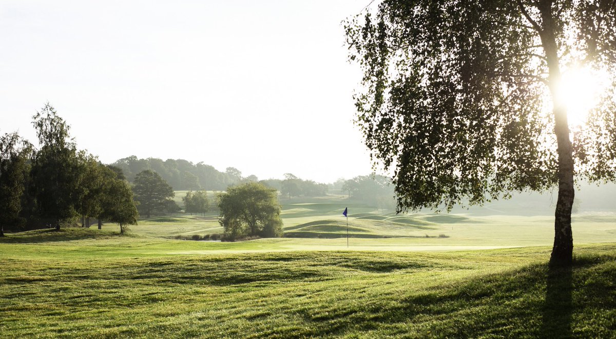 Here’s a scene from this morning.... happy #HumpDay we’re over halfway #golf #golflife