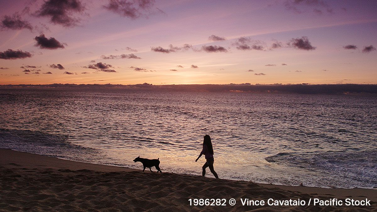 Masterfile's tweet image. Get a Beach Brain: When the ocean is your playground, staying physically fit is part of everyday life. But new research is showing benefits for mental health too. See the Pacific Stock gallery: buff.ly/3hYH3to