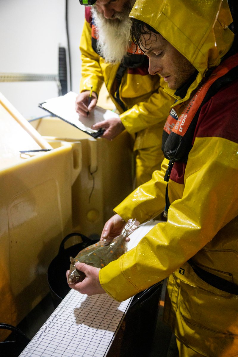 Our latest plaice survivability trial is underway in Castletownbere with support from the crew of MFV Róise Caitríona.
 
In light of COVID-19 restrictions, the work we normally carry out <a href="/GMITOfficial/">Hurling_Kerry</a> when back from sea is happening outdoors on the pier.