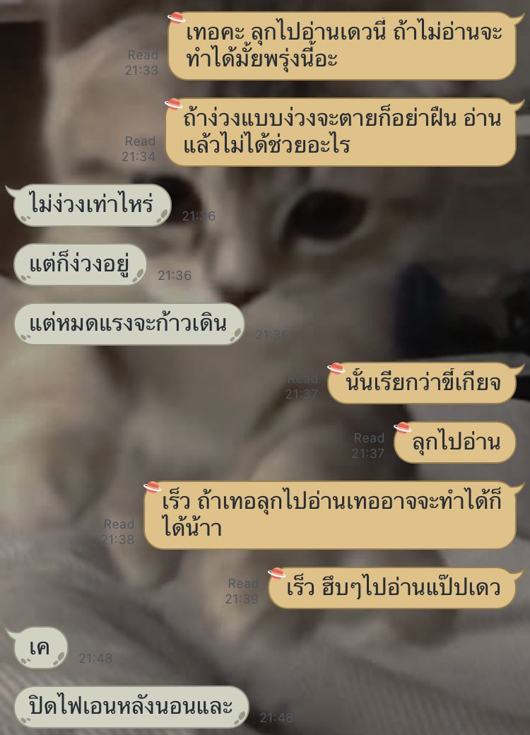 แอคขิงไอ้ควาย🍞🐃💗 tweet media
