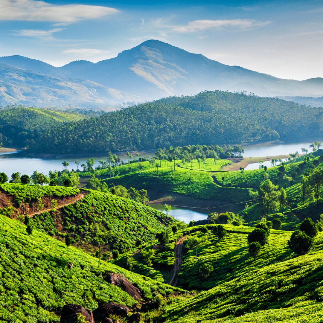 uTalk's tweet image. This week’s language of the week is Malayalam!

Why Malayalam?

🗣 It has around 28 million speakers.
🗣 It is primarily spoken in India.
🗣 It has a significant number of loanwords from Portuguese.

#Malayalam #LearnMalayalam #LanguageOfTheWeek