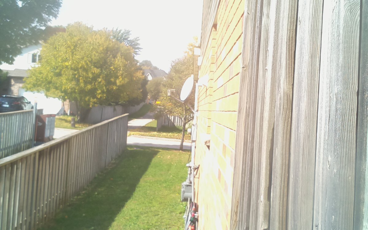 KWGeeseCam Status: 17.2C 1914.2Lux (Internet by <a href="/WorldlineCanada/">WorldlineCanada</a>)