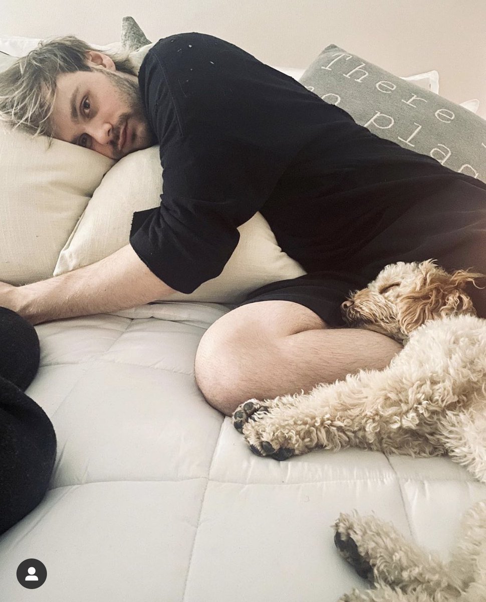 michael clifford being the cutes dog dad ever ~a thread~