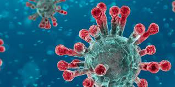 CRASH heeft sinds de heropening een groot aantal bezoekers ontvangen. Dat willen wij zo houden.
Op woensdag 30-9 is een dringend advies uitgevaardigd om mondkapjes te dragen. Onze vrijwilligers doen dat. Wij verzoeken bezoekers dat ook te doen. #Crash40 #veiligheid