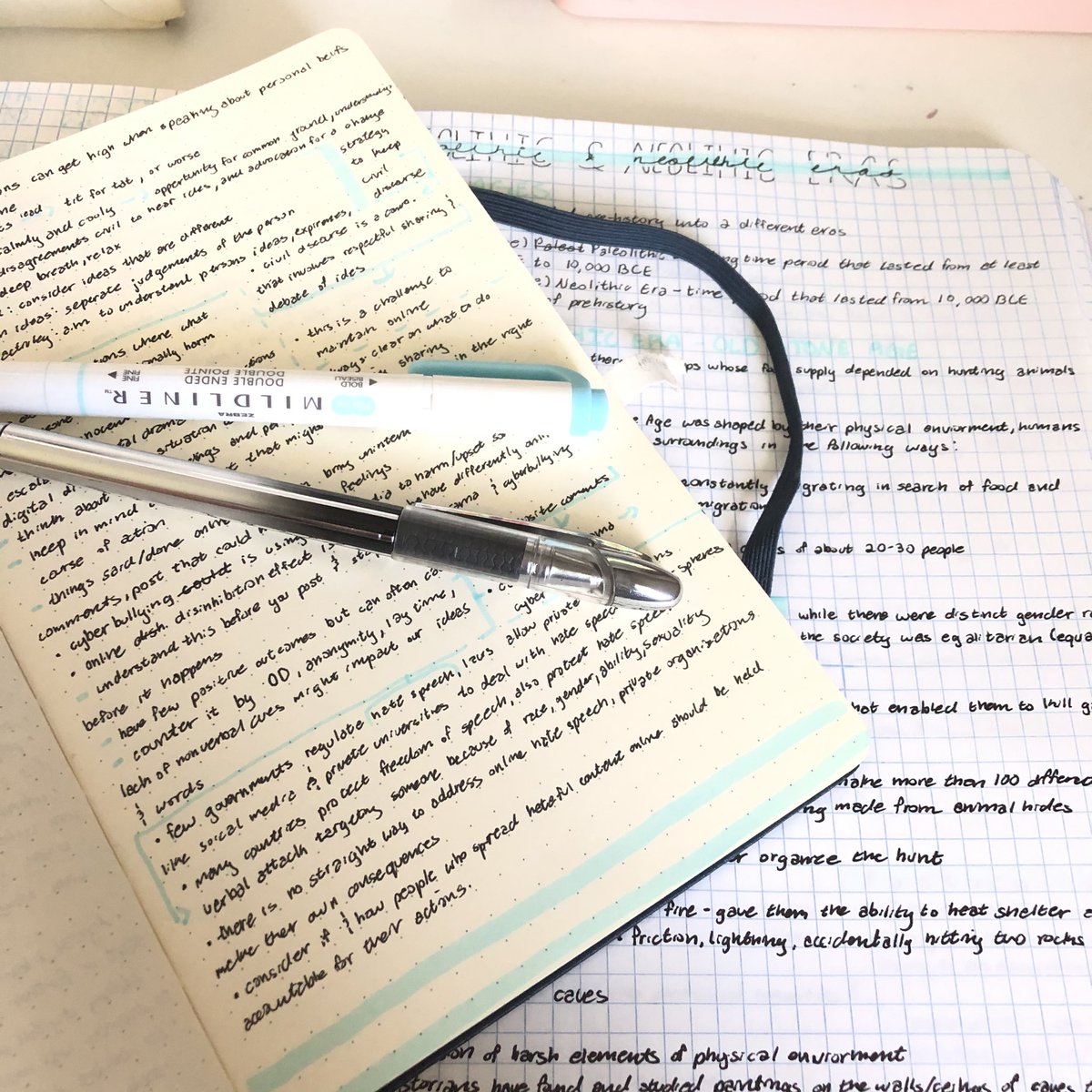 L1NNI3_STUD1ES's tweet image. Hello!! I’m lin and i’m new to #studytwt 
・ ★・・・★・・・★・・・★ ・

✧she/her

✧I’m in the 9th grade

✧Into: math, world history, biology (i can help as well with those subjects)

✧fluent in spanish/english

✧i need help with time management 

✧aspiring biochemist :)