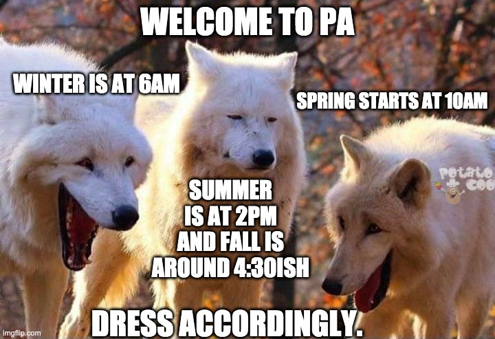 Potato Coop tweet media