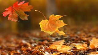 Eylül sayımızın son yayını, sonbaharın içinden Eylül’e yakışır bir şir oluyor. Yüsra İrem Çavuş’un “Sonbaharı Beklerken” şiiri için 

dahadergisi.blogspot.com/2020/09/sonbah…