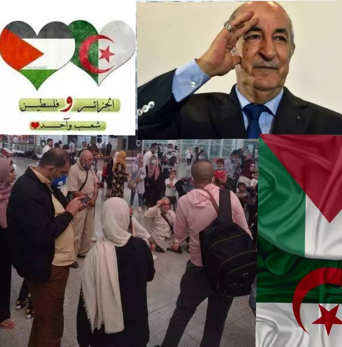 بعد أن رفضت السلطات المصرية دخول طائرة فلسطينية أجوائها #الرئيس عبدالمجيد تبون يأمر بنقل و التكفل بجميع الفلسطينيين إلى مطار الجزائر و بعدها إلى فندق على حساب الدولة #شكراا كتيير يا شعب الجزائر