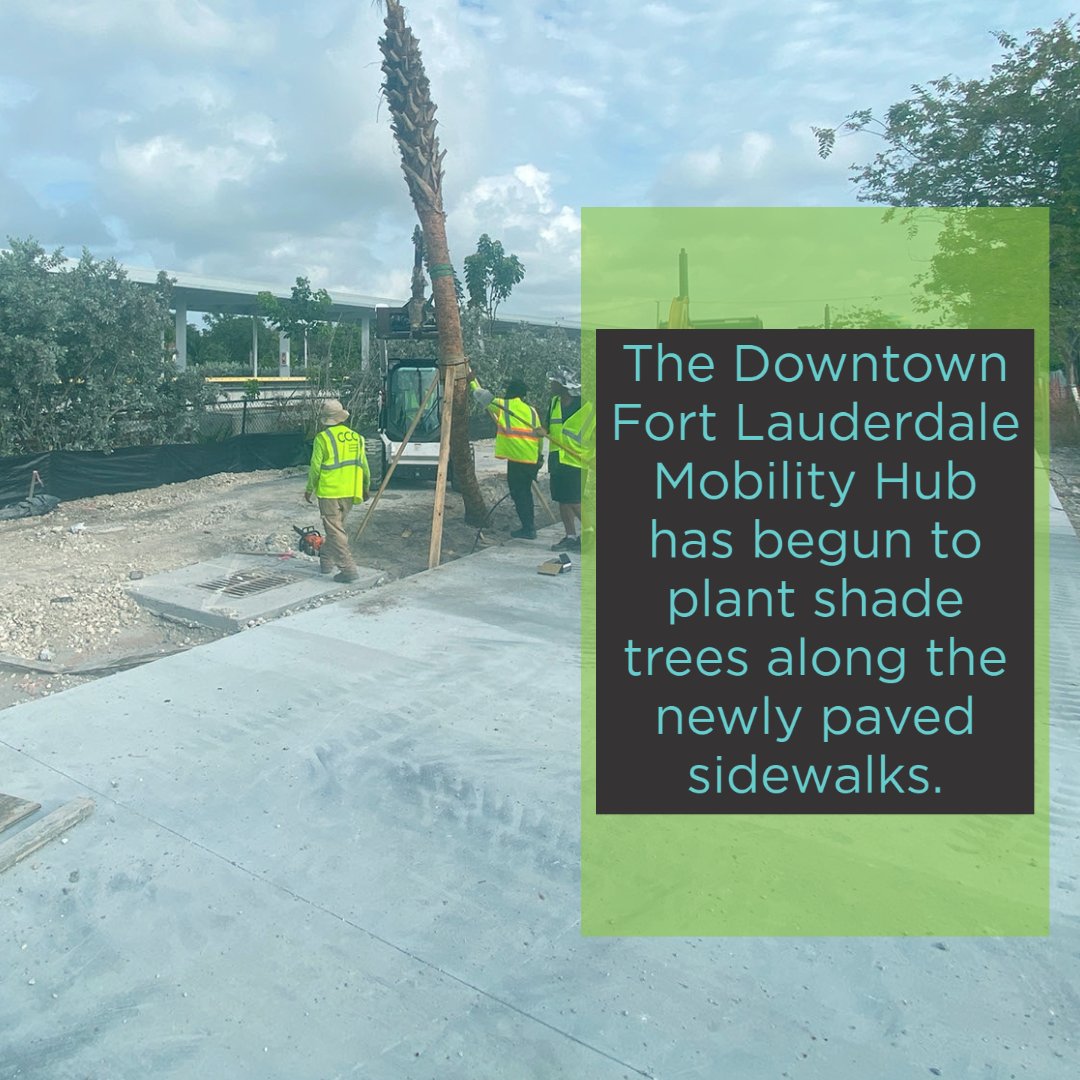 Speak Up Broward 💬 tweet media