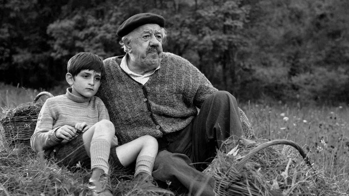 The Two of Us dir. Claude Berri (1967)- In occupied France, an 8 year old Jewish boy has to go into hiding with a Catholic family where he bonds with their eccentric, anti Semitic patriarch. Charming, hilarious, and at times, moving.