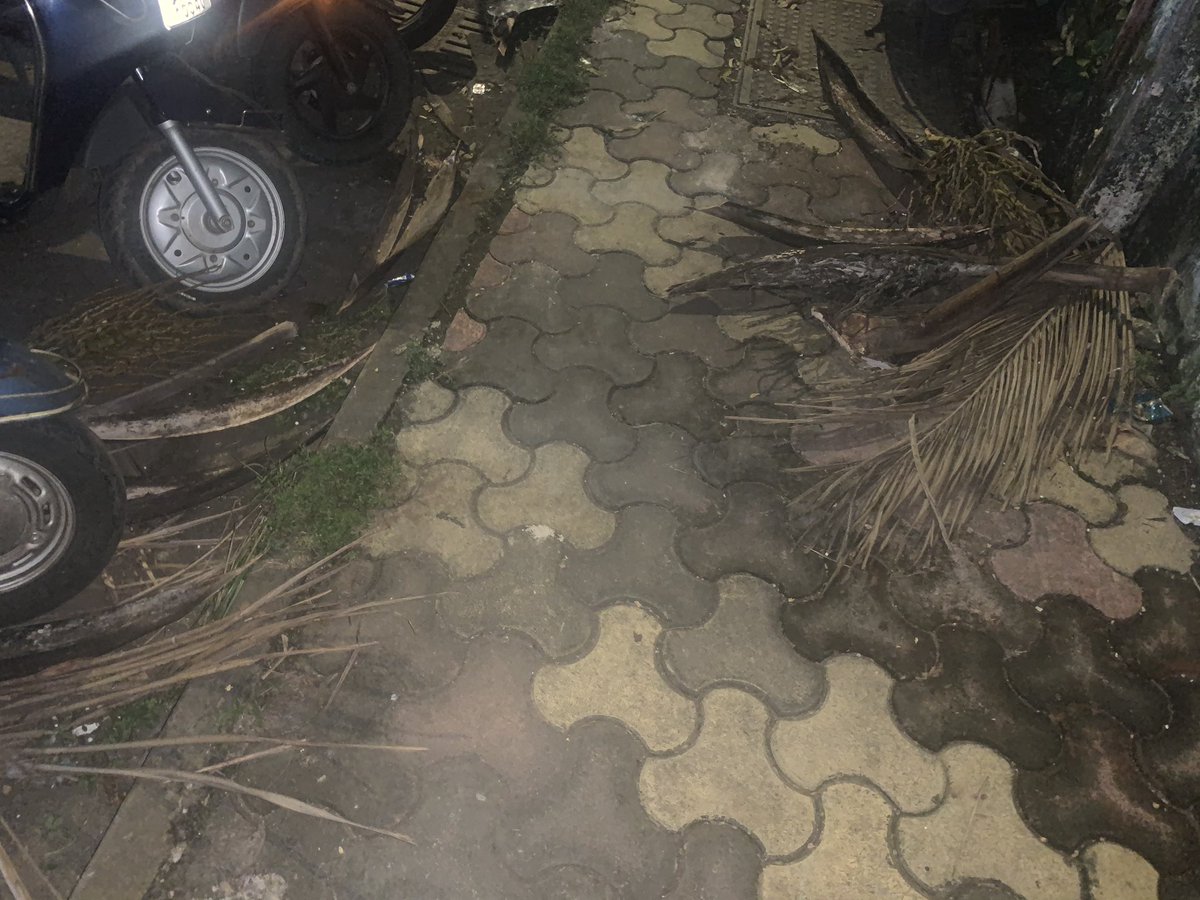 activebandra's tweet photo. Hi @mybmcWardHE Team, All pedestrian walking in Bandra East starting from Khernagar Road 1 to 7 has fallen leaves. Request you to please clear all as early as possible.

@RenuABPNEWS @NavbharatTimes @mumbaitak 

Regards,
Active Bandra Youth Association Team https://t.co/INH62sMRu5