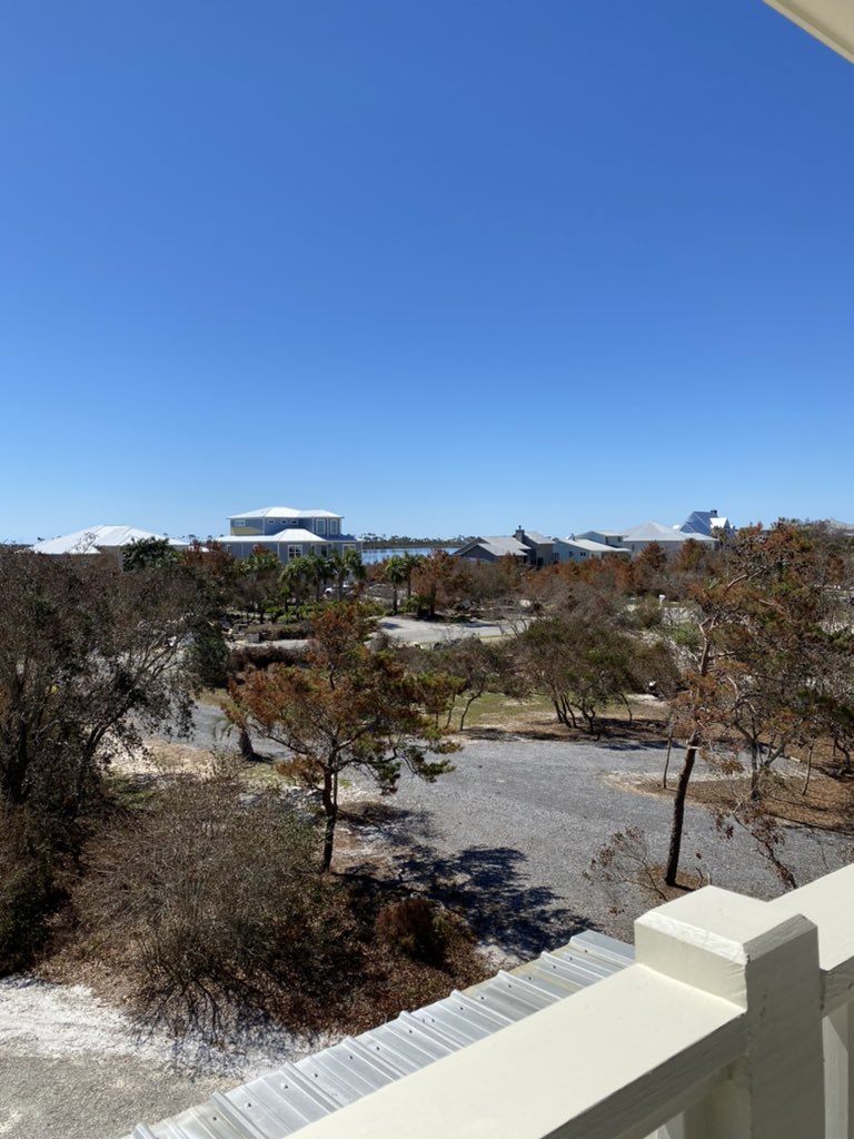 EyeDoWindows's tweet image. Loving these beautiful blue sky window cleaning days! 😍 

251-609-2976 ☎️

eyedowindows.com💻