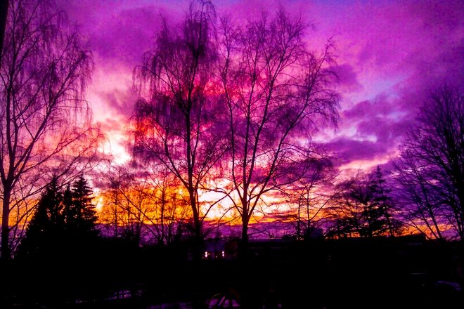 Have a lovely evening 💕
Stay healthy and strong😘