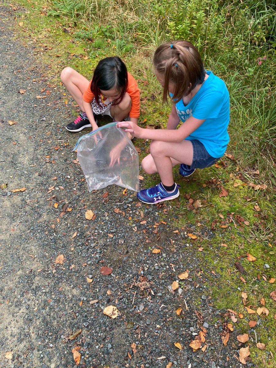 Christa Brown tweet media