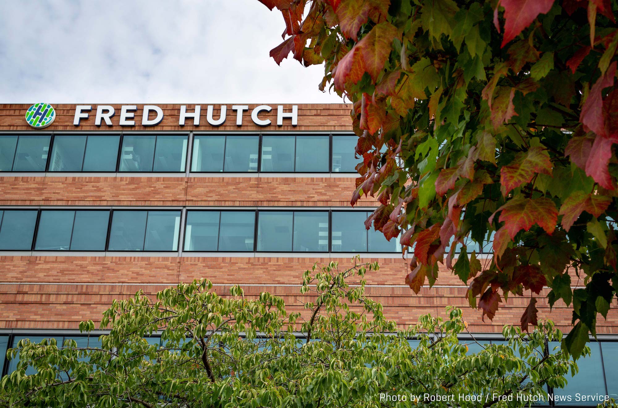 Sita Kugel (KugelSita) / Twitter