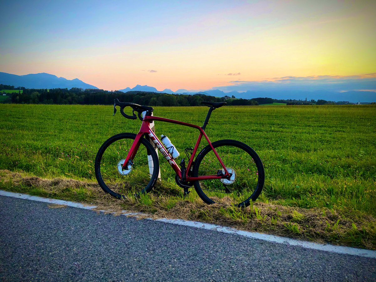 Dominic Elm tweet media