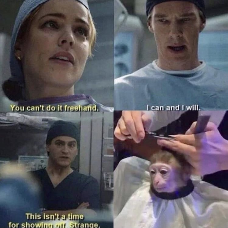 thechimpzone's tweet image. 