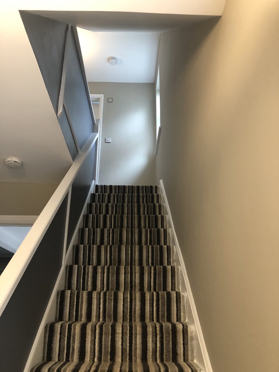 Bottlenose dolphin blue feature panels. #AandP